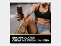 FITAID - RX FITAID - Information 4