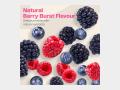 Nutriburst - Women's Multivitamin - Info 3