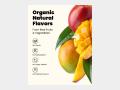 doingwell - Performance Electrolyte Drink Mix - Mango - Info