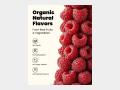 doingwell - Performance Electrolyte Drink Mix - Raspberry - Info