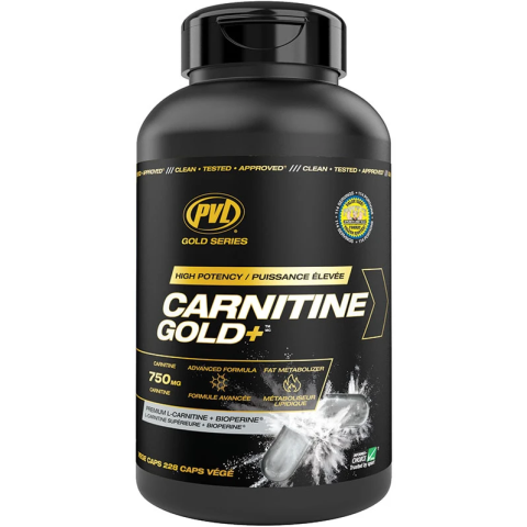 PVL - PVL Gold Series Carnitine Gold+ 750mg