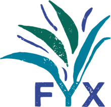 FYX Logo